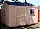 8' x 12' House style with T1-11 Siding